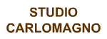 HOME PAGE STUDIOCARLOMAGNO.IT - IL PORTALE DEI PROFESSIONISTI AL SERVIZIO DEI CONTRIBUENTI